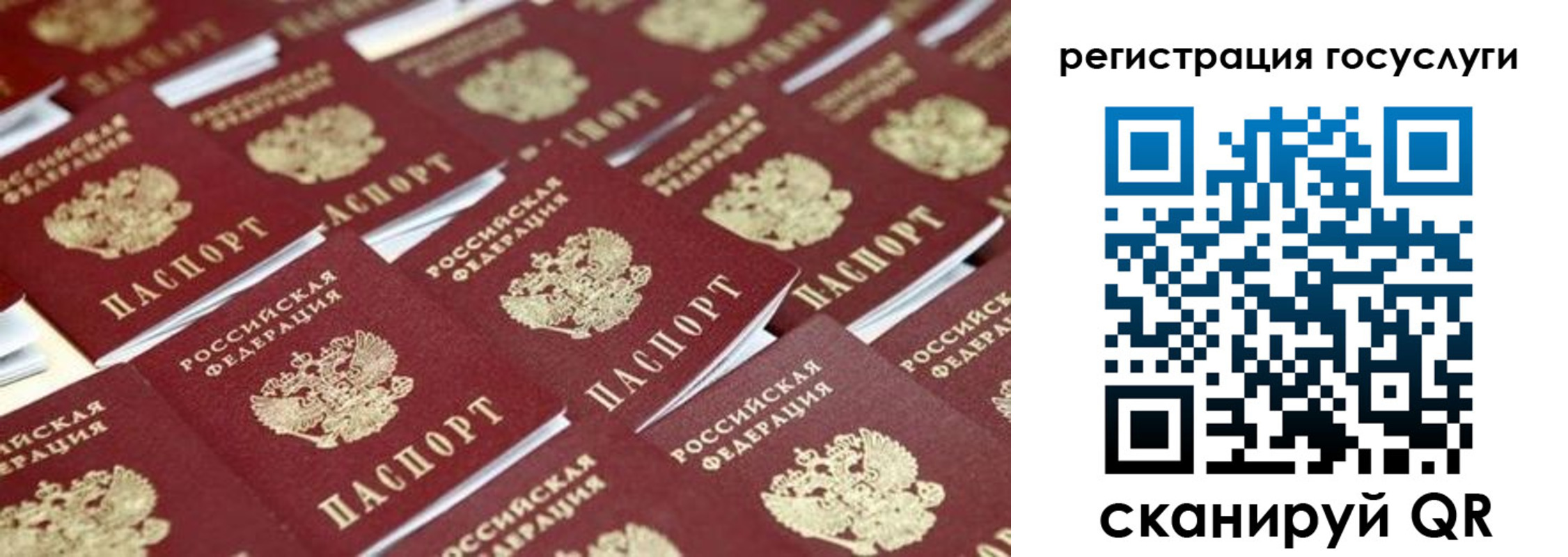 прописка ребенка в Зарайске